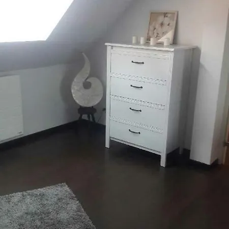 Daire Avec Garage Centre Historique Colmar