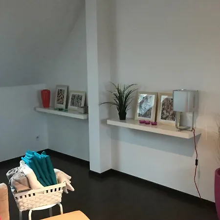 Apartment Avec Garage Centre Historique Colmar