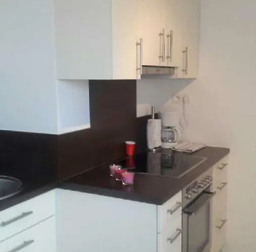 Avec Garage Centre Historique アパート コルマール