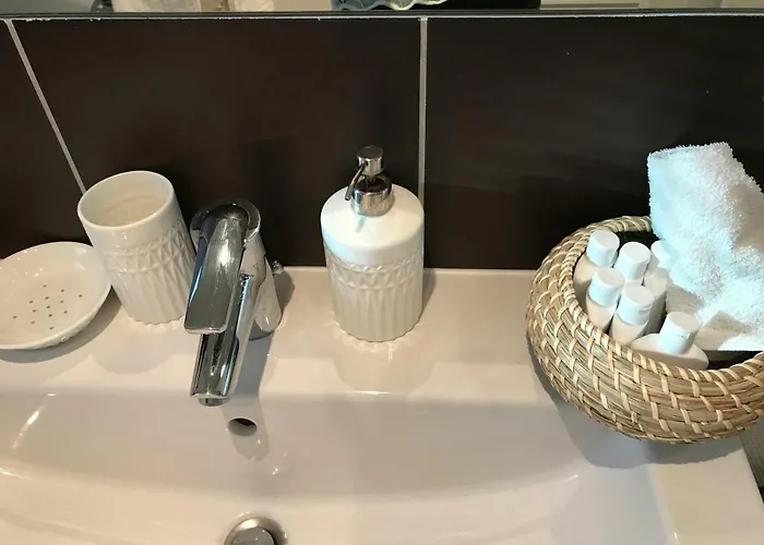 アパート Avec Garage Centre Historique コルマール