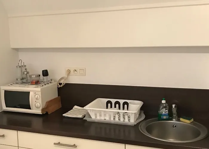 アパート Avec Garage Centre Historique コルマール