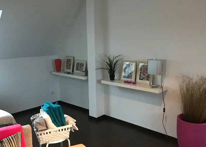 アパート Avec Garage Centre Historique コルマール